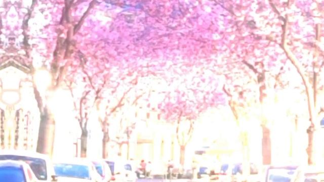 ?Meme: "Забери меня на танец... " ? смотреть онлайн