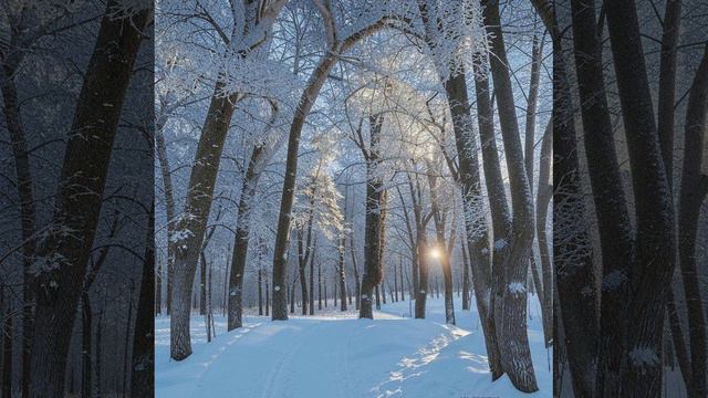1.. The winter forest. смотреть онлайн