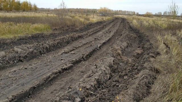 Сажаем медонос мордовник. смотреть онлайн