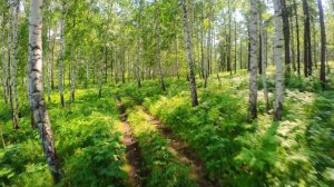 FPV - ВРЕМЕНА ГОДА (Вивальди в современной обработке)