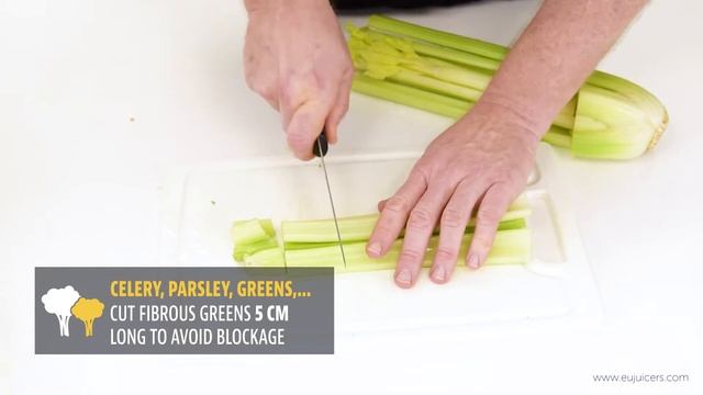 Sana Horeca EUJ-909 - Quick Guide смотреть онлайн