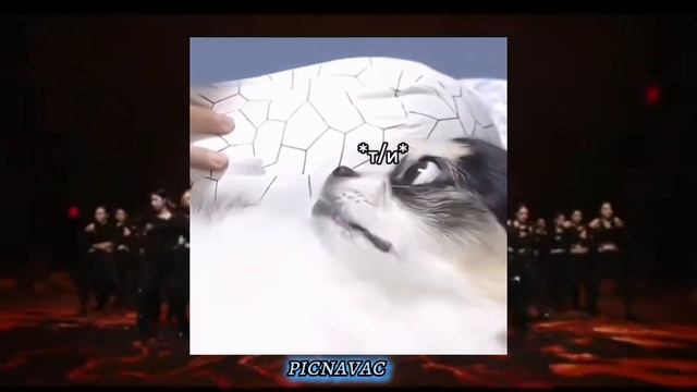 СМОТРИМ ФАНФИКИ ИЗ ТИК ТОКА *что происходит в тик токе? смотреть онлайн