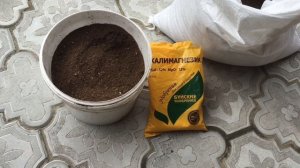 Костная мука для роз