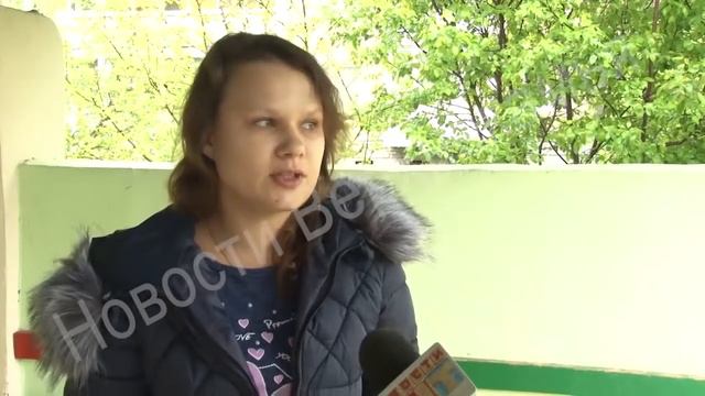 свора собак в детском саду смотреть онлайн