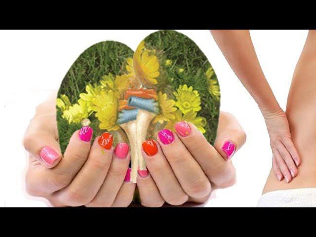 Лечение камней в почках, народные средства