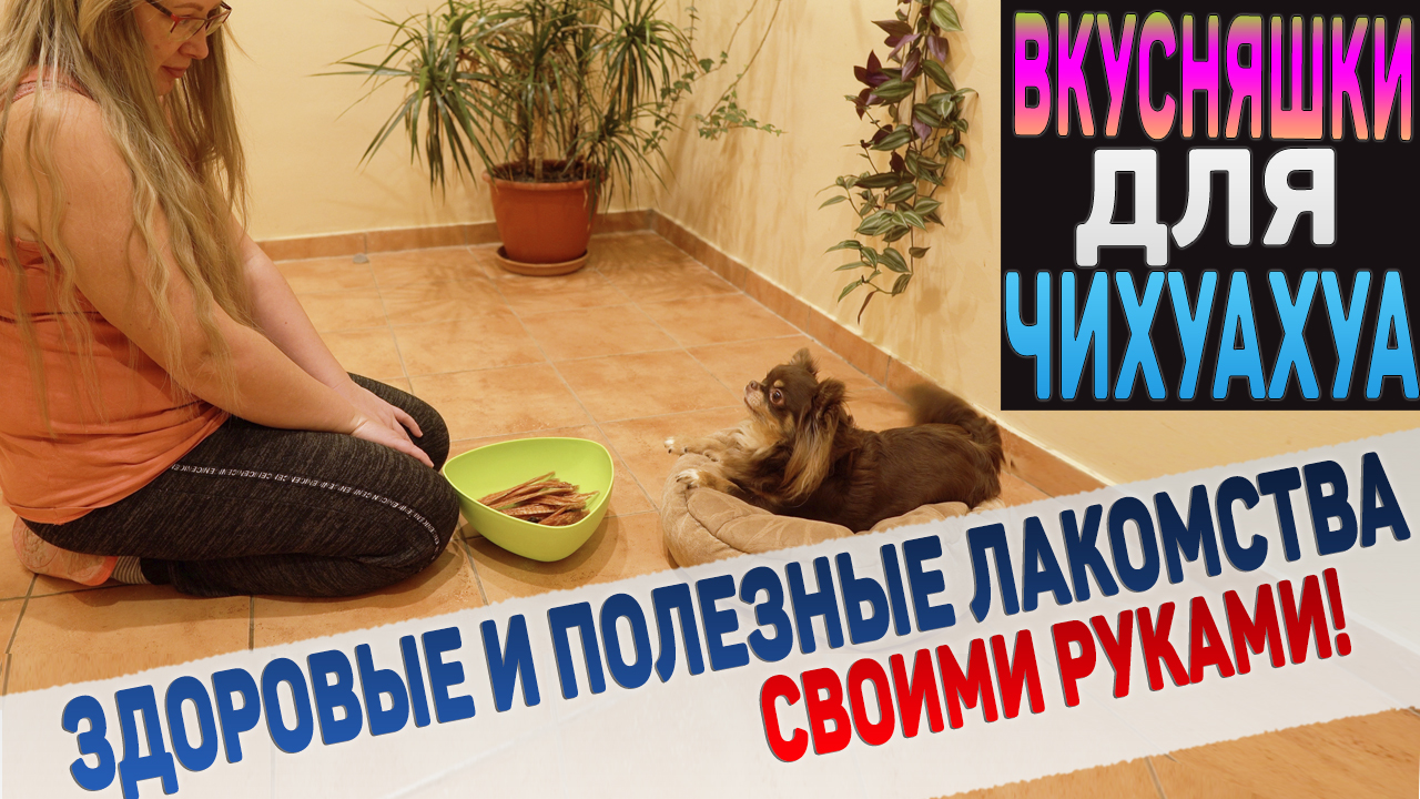 Почему нельзя покупать лакомства для собак из магазина? Как нам помог дегидратор Airhot FD-6 смотреть онлайн
