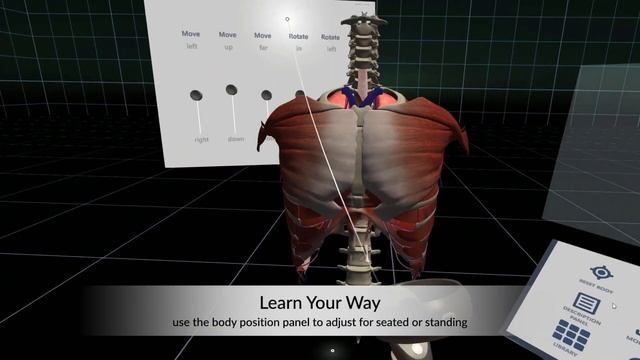 Human Anatomy Virtual Reality | BioDigital смотреть онлайн