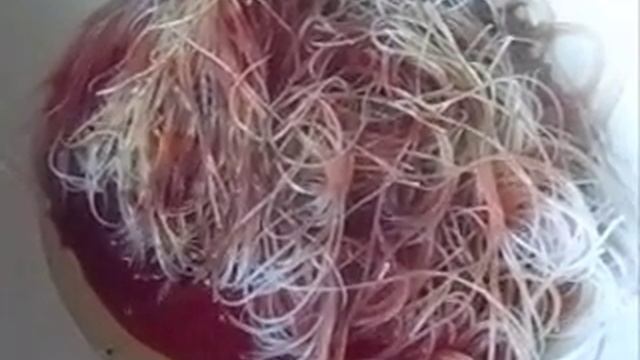 Бобовая лапша с томатным соком смотреть онлайн