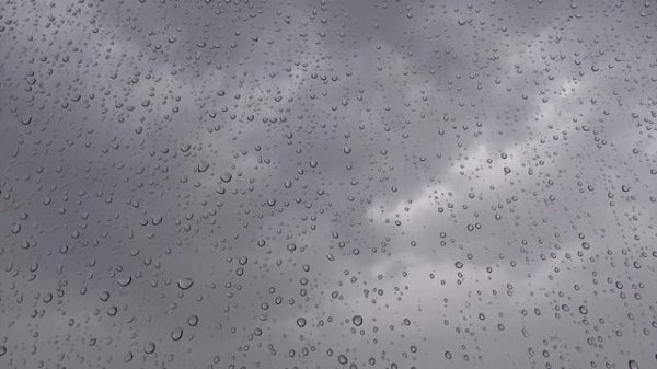 Ураган и сильный ливень пришли в Санкт-Петербург после жары