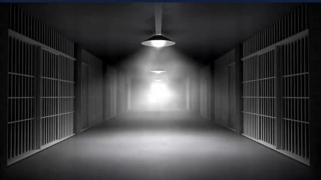 Законники 2018