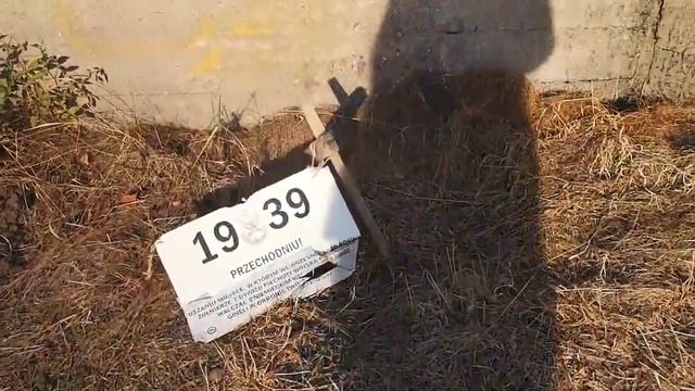 Этот день празднует КАЖДЫЙ Поляк. ЗАВОРАЖИВАЮЩЕЕ зрелище. Польские традиции. Жизнь в Польше смотреть онлайн