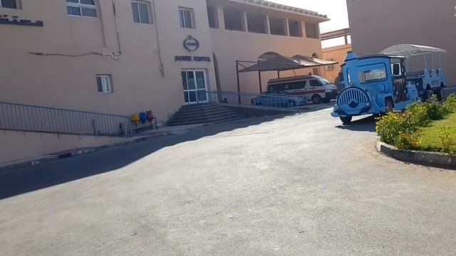 ⛱ПЛЯЖ И АКВАПАРК ОТЕЛЯ ALIBABA PALACE 4*?НАМ ПОДАРИЛИ ЦВЕТЫ? смотреть онлайн