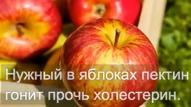 Для вашего здоровья полезные советы смотреть онлайн