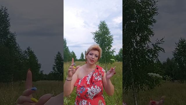 Какие ограничения по длине и ширине земельного участка? Ответ здесь! смотреть онлайн