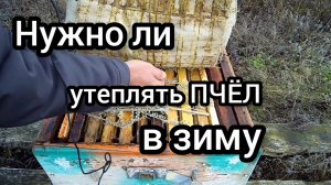 Утепление пчел во время зимовки.