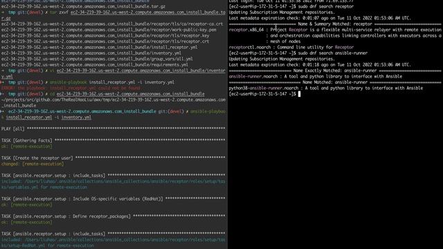 AWX Remote Execution Node Demo смотреть онлайн