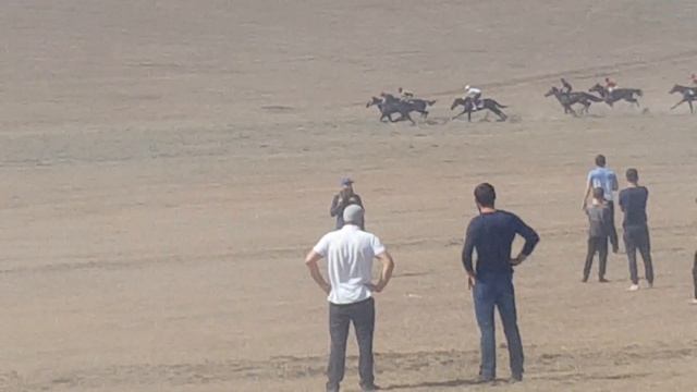 Скачки Самашки смотреть онлайн