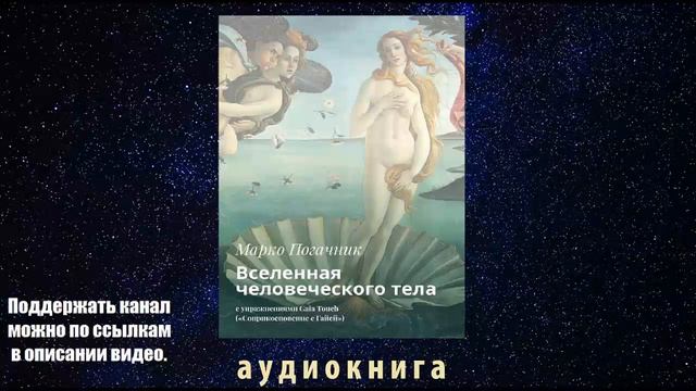 Марко Погачник. Вселенная человеческого тела. Пролог. Аудиокнига смотреть онлайн