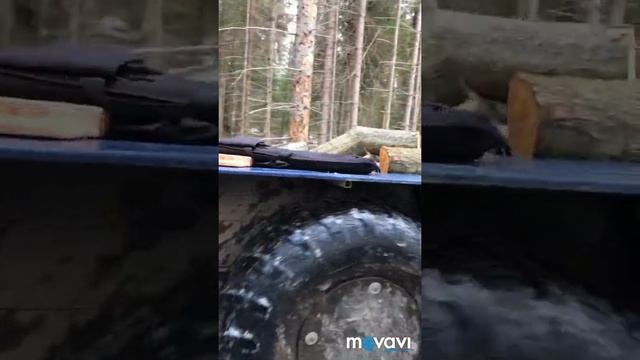 Трое на каракате в тайге , наше утро в тайге и неспокойная ночь смотреть онлайн