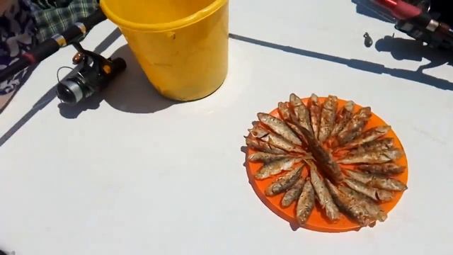 На морской рыбалке в Лазаревском нам пожарили ставридки смотреть онлайн