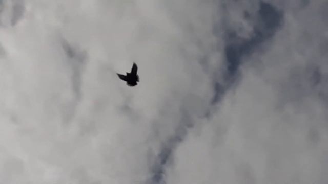 Посадка после покрытия смотреть онлайн