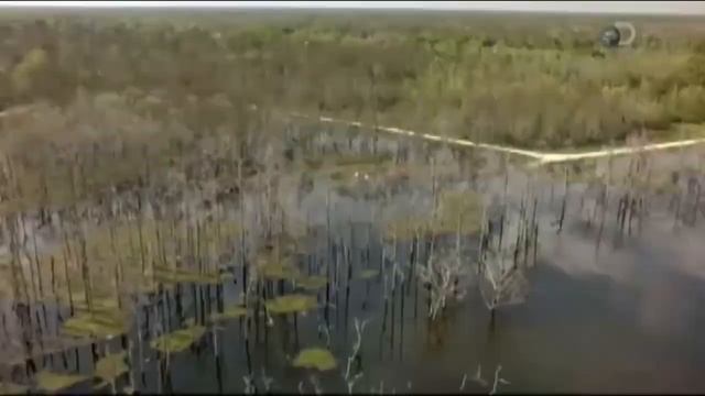 В США почва уходит под воду прямо на глазах! ЖЕСТЬ ! смотреть онлайн