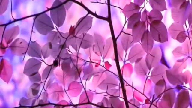 С днём рождения!!! смотреть онлайн