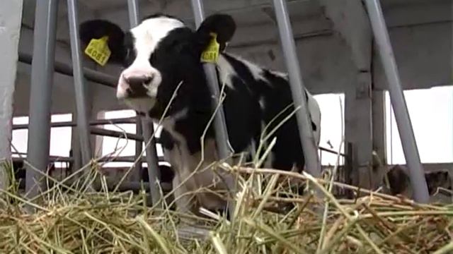 О компании ООО "Агропродукт, ЛТД" смотреть онлайн