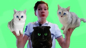 НЕ БОЙТЕСЬ, Кошечки!  Это ДЕЛАЮТ все ЖЕНЩИНЫ на СВЕТЕ!!!