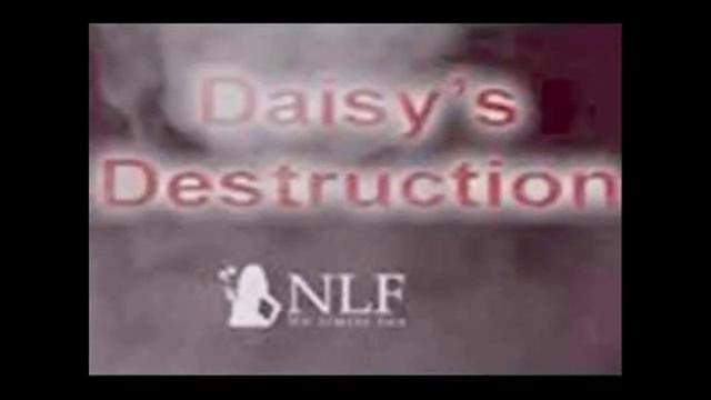 Uno de los peores videos (Daisy´s Destruction) смотреть онлайн