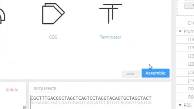 Combinatorial MoClo Assembly Tool смотреть онлайн