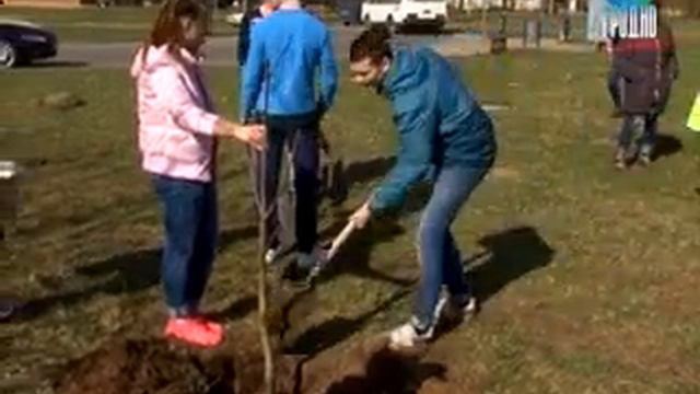 Депутаты совместно с кадетами и учащимися облагораживают Гродно смотреть онлайн