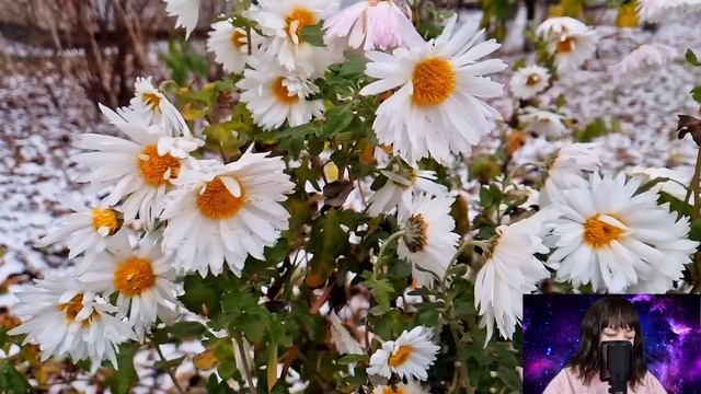 Магия момента