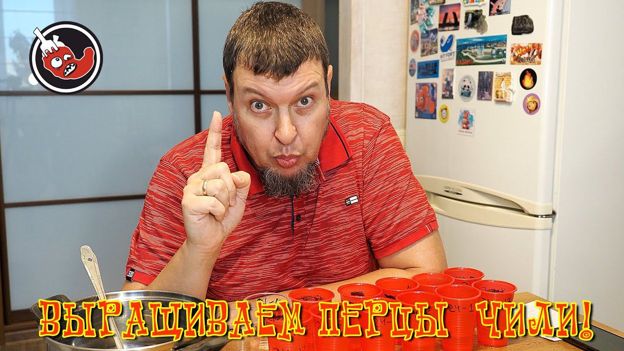 Старт перцового сезона 2024