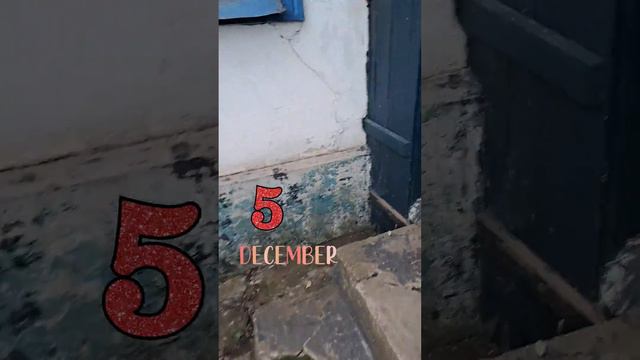Январь 5 число, на градуснике +5 С Что происходит? смотреть онлайн