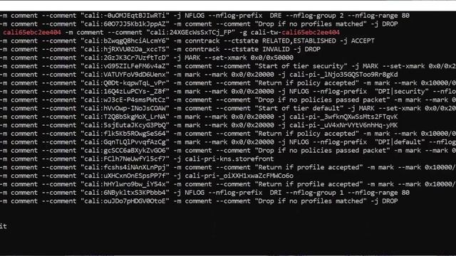 Troubleshooting Kubernetes Networking with Calico смотреть онлайн