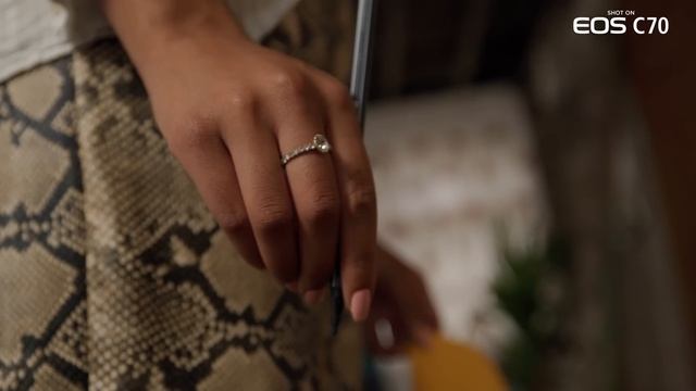 The New Age Of Filmmaking - Introducing The Canon EOS C70