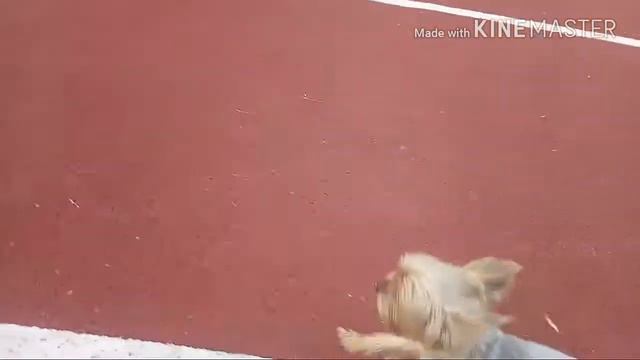 ВЕСЕННЯ ПРОГУЛКА | САМА ВЕСНА ПРИШЛА К НАМ! | СНЕГ СОШЕЛ!