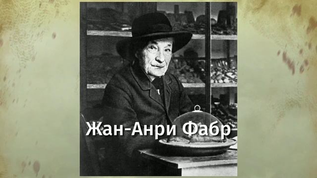 Скорпион может сам себя Ужалить? Мозг не чувствует боль? Зачем Грибам Шляпа ? Почему X неизвестное? смотреть онлайн