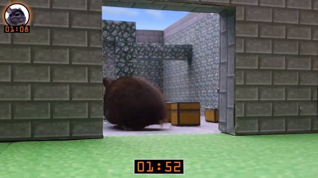ANIMALS RACE through MINECRAFT WORLD смотреть онлайн