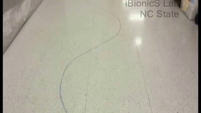 Roach Biobot смотреть онлайн