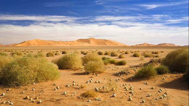 Страны мира: Ливия #nature #факты #топ #путешествия #странымира #топ10 смотреть онлайн