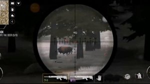 american marksman. Стала Охотникам. (Не получается играть по сети с другом).