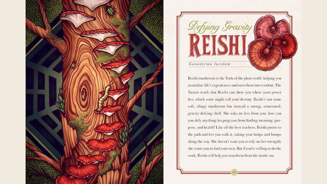 Book Trailer: The Illustrated Herbiary смотреть онлайн