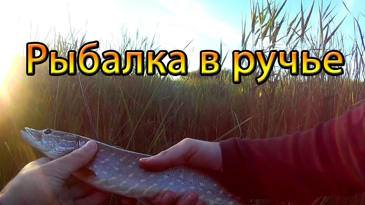 Вот это рыбалка в ручье! Хороший улов на спиннинг!