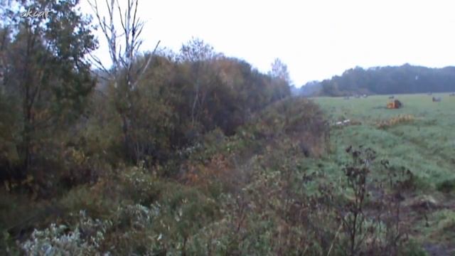 Реконструкция реки Кажава. Экскаватор CAT 320DL.