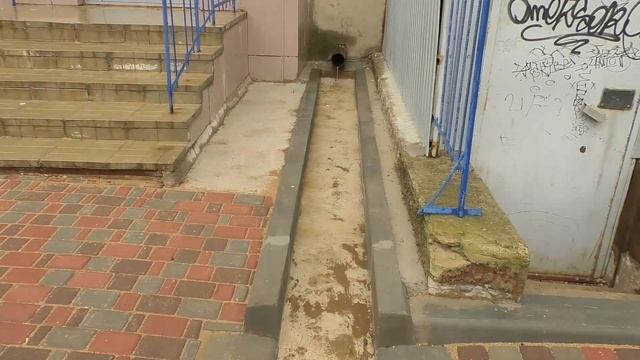 Приёмка двора на ул. Упита, 5 после ремонта смотреть онлайн