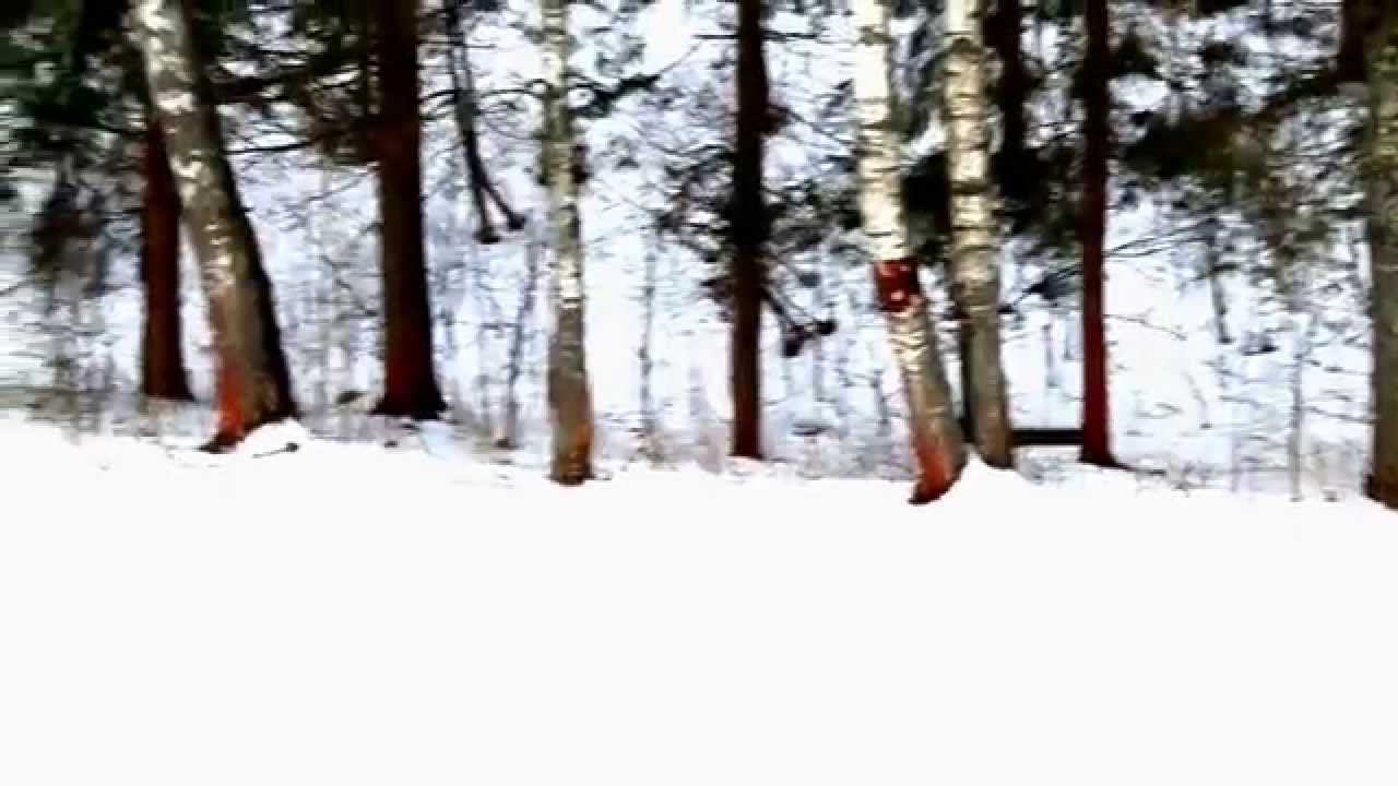 4 этап кубка Новгородской области по лыжным гонкам#1 смотреть онлайн