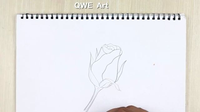 How to Draw a Rose step by step ? смотреть онлайн