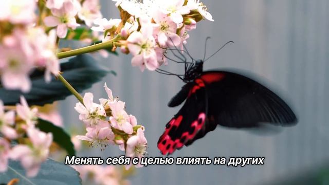 "Изменить себя". 9 августа. Сегодня-лучший путь. Ежедневник для созависимых. смотреть онлайн